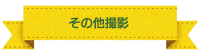七五三　撮影プラン