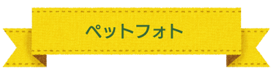 七五三　撮影プラン
