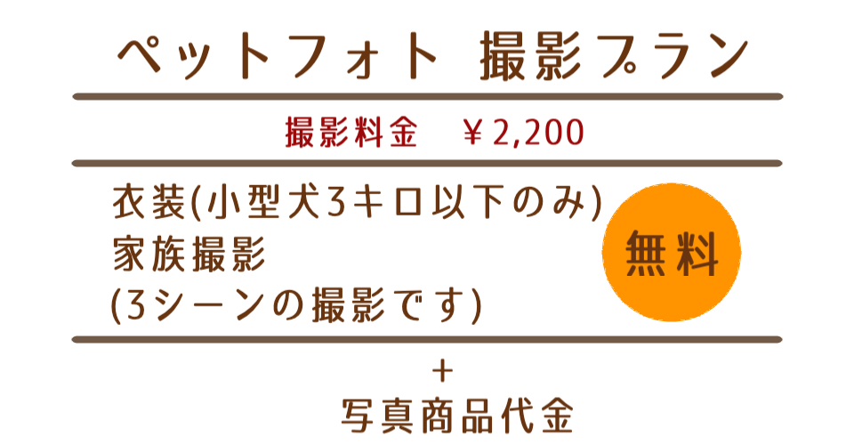 ペットフォト撮影プラン